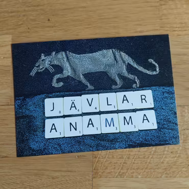 Jävlar anamma (mörk) (A6)