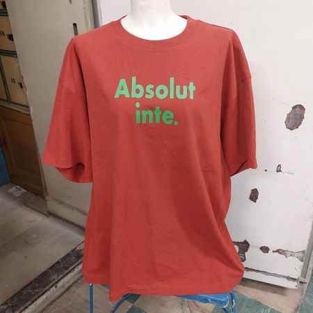 Kopia T-SHIRT MED TRYCK - Absolut inte