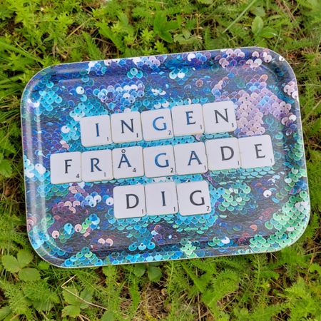 BRICKA - Ingen frågade dig