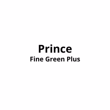 Prince Fine Green Plus 20pk×10 stk Kartong