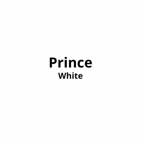 Prince White 20pk ×10 stk Kartong