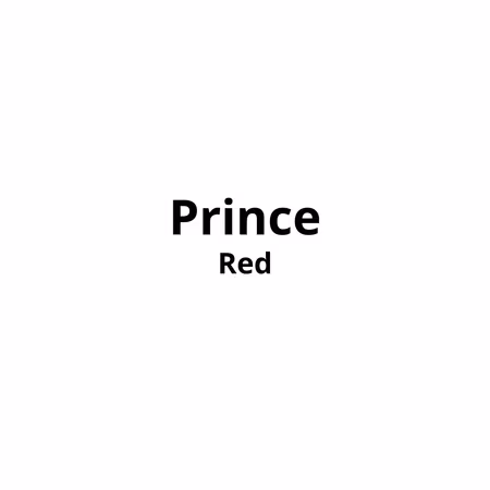 Prince Red 20pk x 10stk