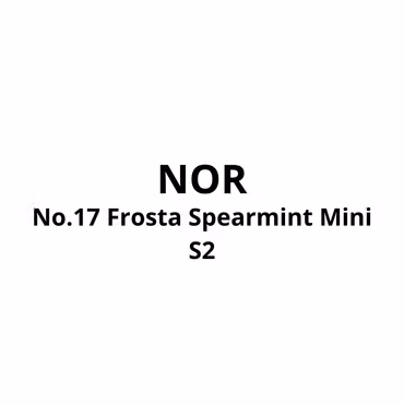 NOR No.17 Frosta Spearmint Mini S2 - 10stk