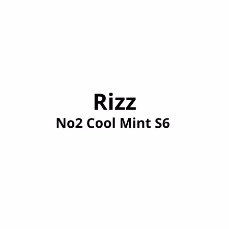 Rizz No2 Cool Mint S6 - 10stk - 469,-