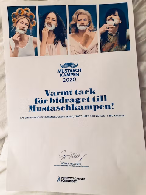MustaschSkyddsÄngel Rosenkvarts