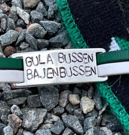 GULA BUSSEN - BAJENBUSSEN