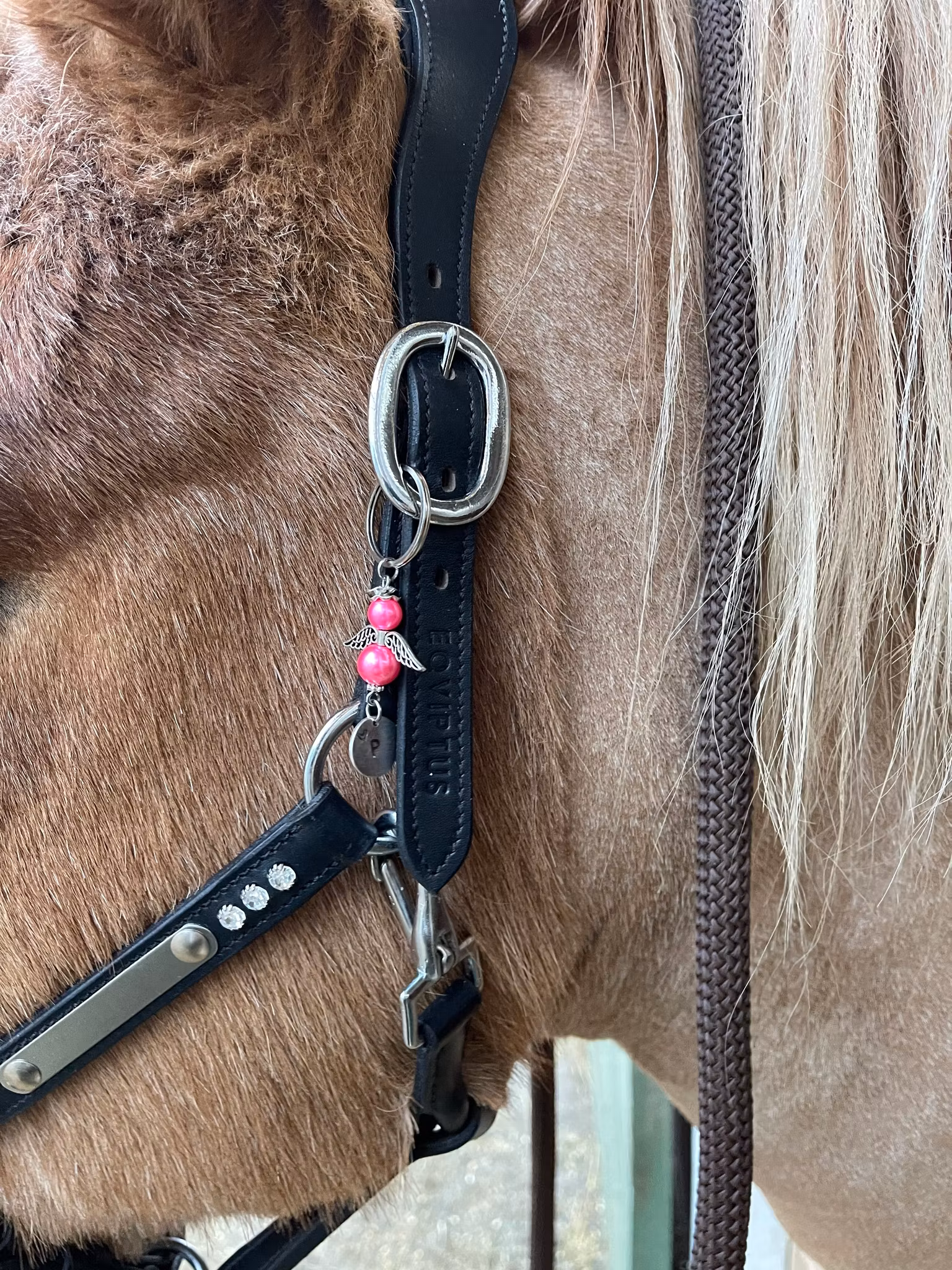 Skyddsängel  - med rund bricka