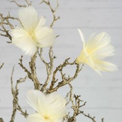 Fjäderblomma ljusgul