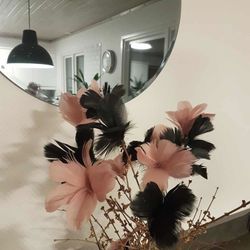 Fjäderblomma svart