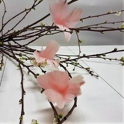 Fjäderblomma ljusrosa