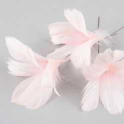 Fjäderblomma ljusrosa