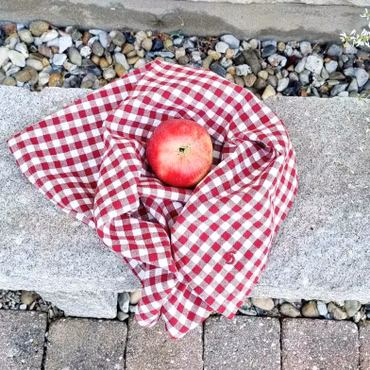 Kökshanddukar 2pack Rutan röd
