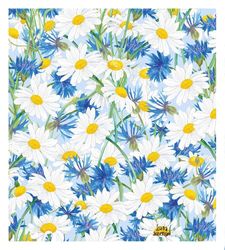 Disktrasa sommarblommor