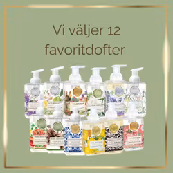 Skumtvålar 12-pack- MICHEL DESIGN WORKS