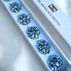 Knappsmycke blomma ljusblå