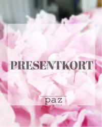 Presentkort 300
