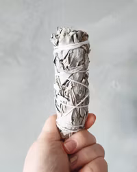 Salviabunt,  vit salvia (hållbart odlad)