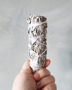 Salviabunt,  vit salvia (hållbart odlad)