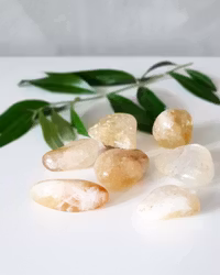 Citrin, trumlad större