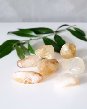 Citrin, trumlad större