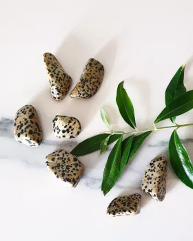 Dalmatiner jaspis, trumlad