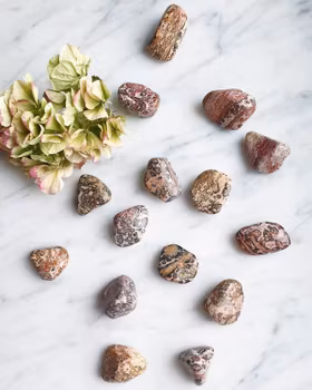 Jaspis, leopard trumlad