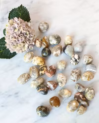 Ocean Jasper / jaspis trumlad