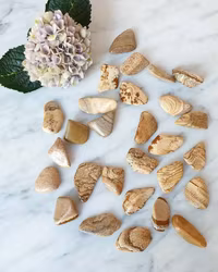 Bildjaspis / Landskapsjaspis, trumlad