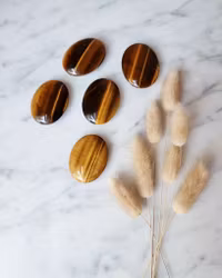 Tigeröga mini palmstone