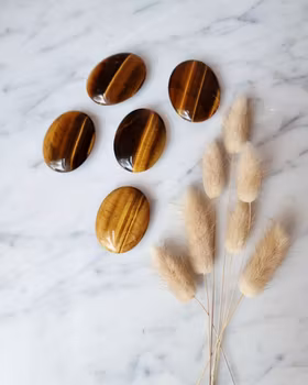 Tigeröga mini palmstone