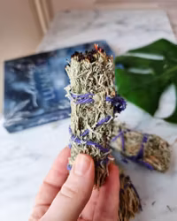 Blue Sage/ Desert Sage, salviabunt