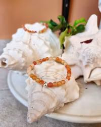 Armband Frostad karneol & 925SS