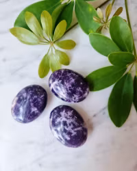 Lepidolit, palmstone