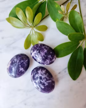 Lepidolit, palmstone