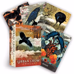 Urban Crow Oracle - MJ CULLINANE