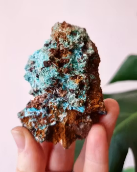 Aurichalcite, kluster nr 1