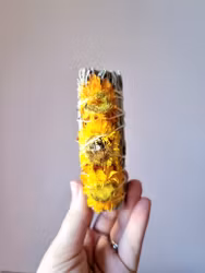 Vit salvia med solros