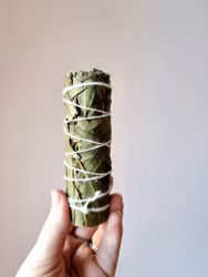 Eucalyptus & lagerbladsbunt (eko)