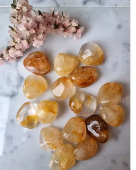 Golden Healer trumlad