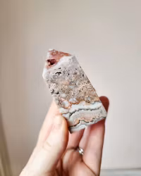 Rosa Crazy Lace agat, Torn nr 3