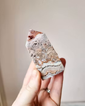 Rosa Crazy Lace agat, Torn nr 3