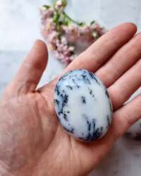 Dentrit Agat, palmstone