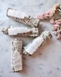 Salviabunt med selenit