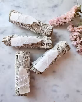 Salviabunt med selenit