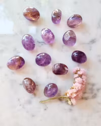 Ametrin, trumlad/cuddle