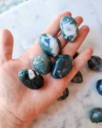 Mossagat, trumlad/cuddle