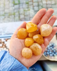 Golden Healer trumlad (gul)