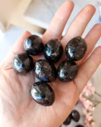 Larvikit, trumlad/cuddle