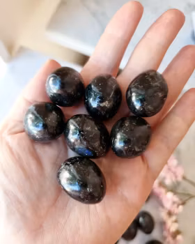 Larvikit, trumlad/cuddle