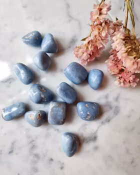 Trumlad Angelit, liten